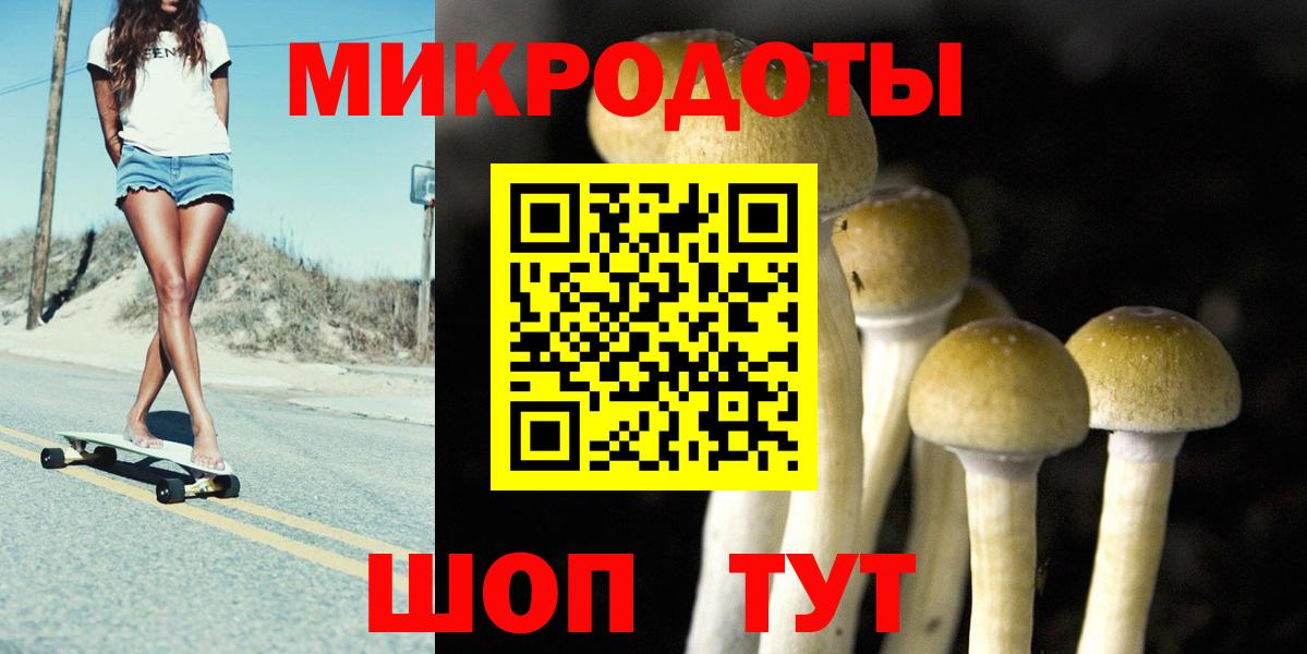 Галлюциногенные грибы Psilocybe  Псилоцибиновые грибы GOLDEN TEACHER  Вход с VPN  Орехово-Зуево 